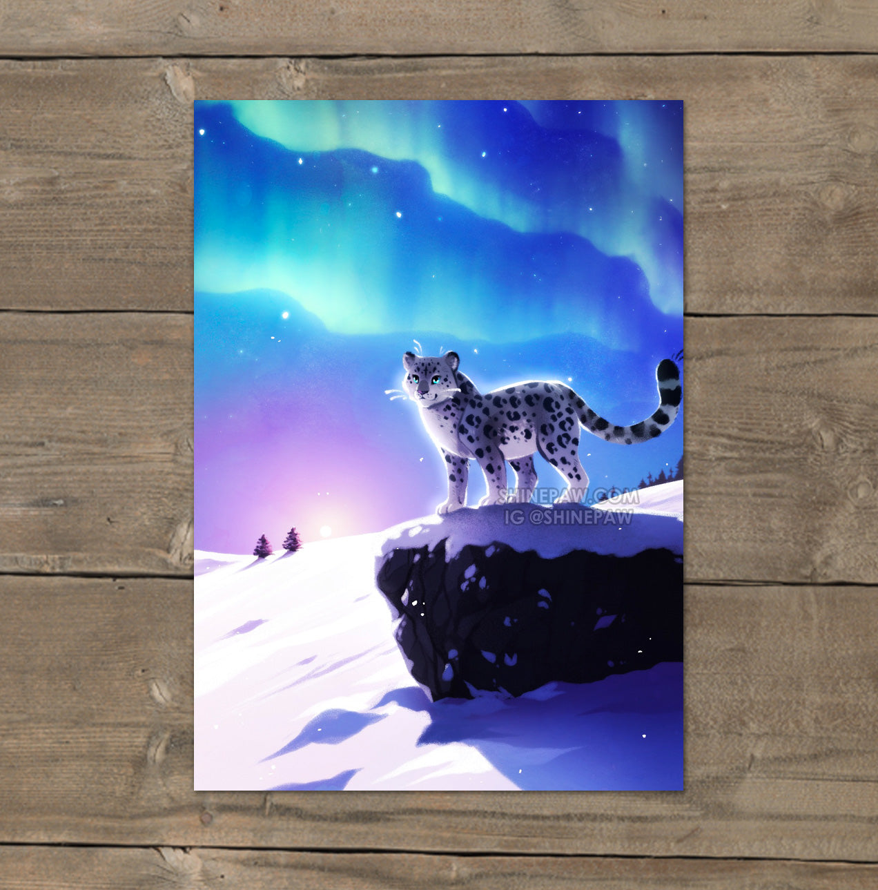 Aurora - Snow Leopard Art Print – Shinepaw Design