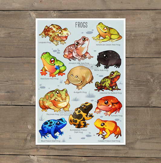 Frogs - Art Print