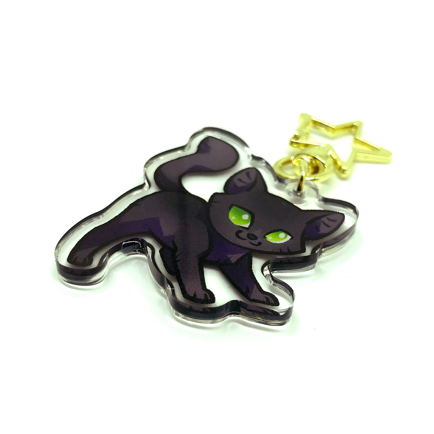 Hollyleaf Warrior Cats Keyring Charm