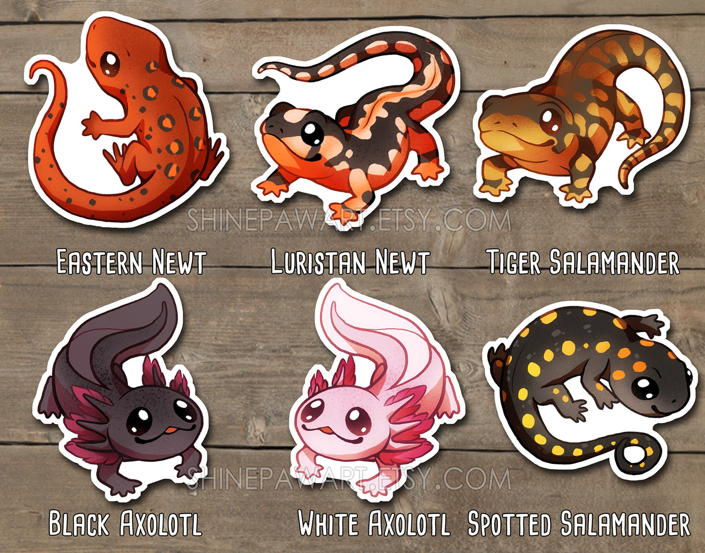 Cute Amphibian Sticker Set