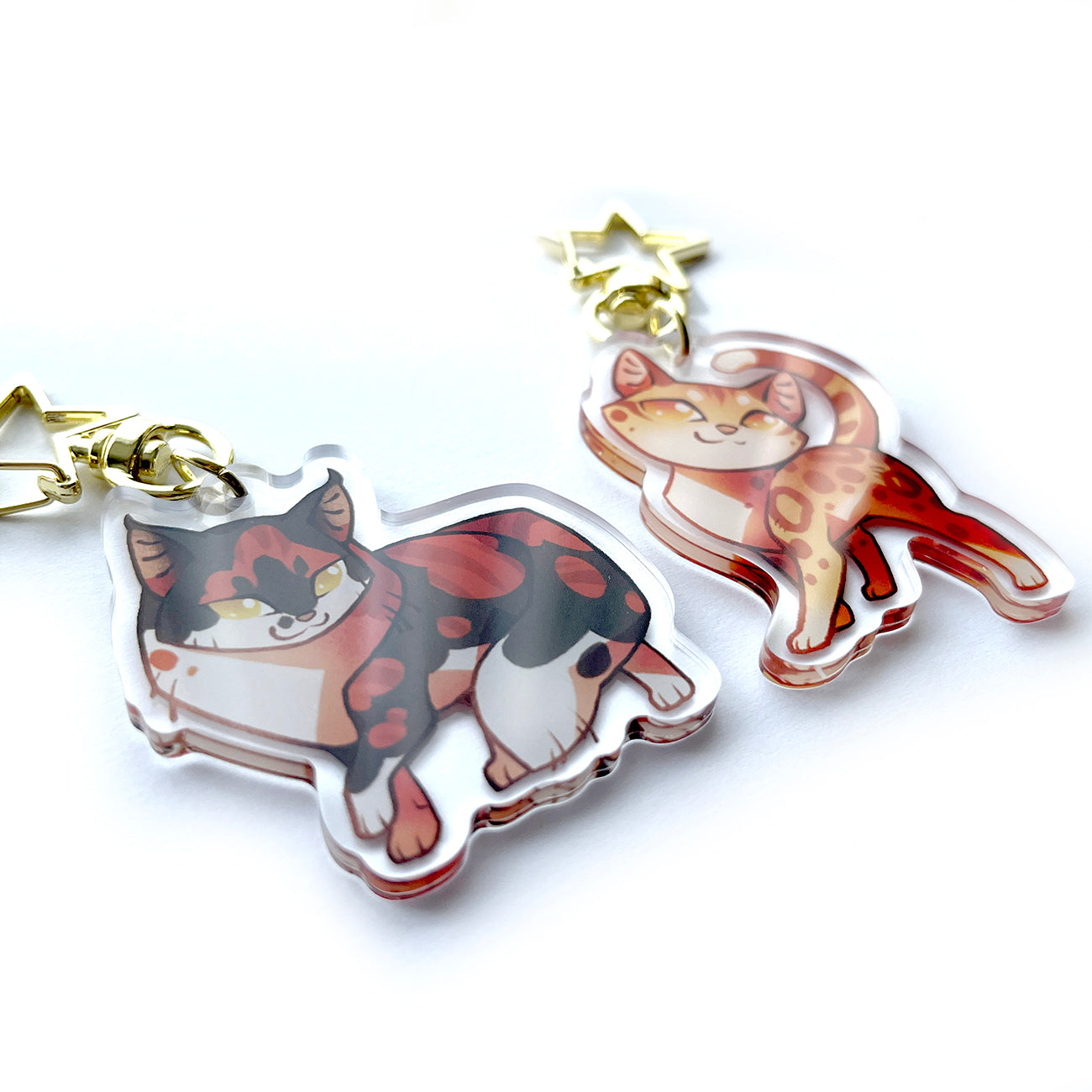 Sol Warrior Cats Keychain Charm