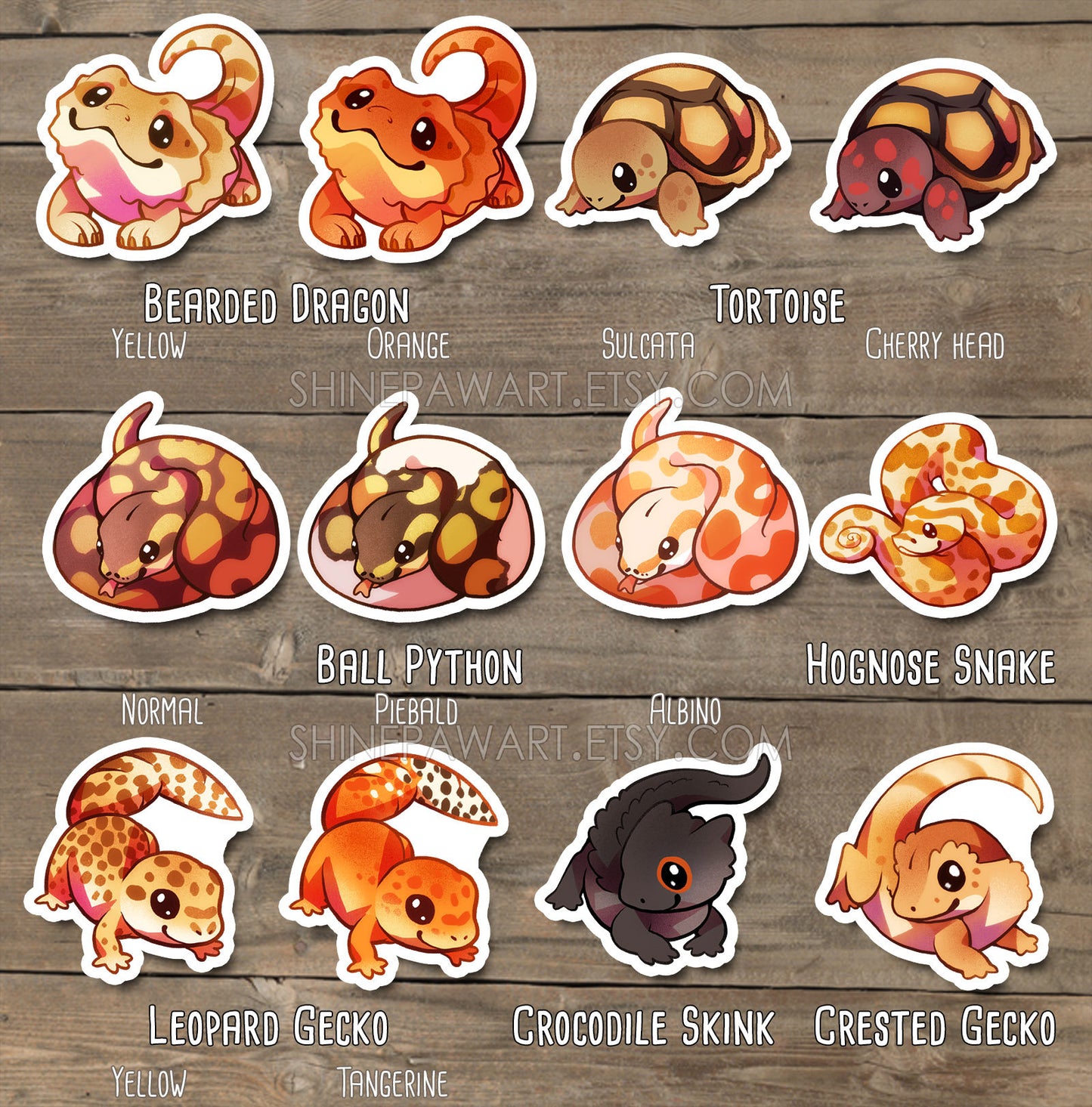 Cute Reptiles Sticker Set