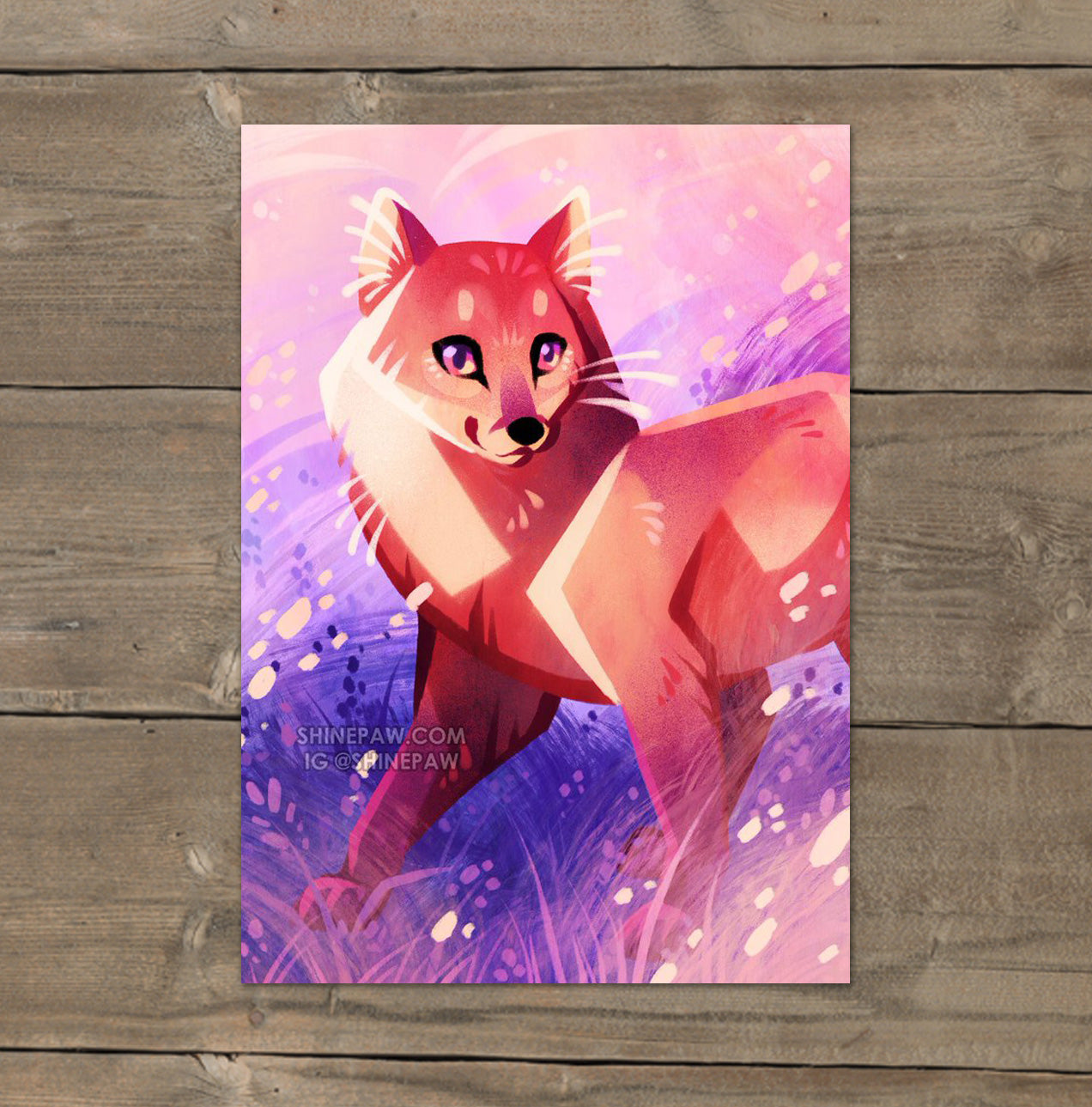 Sunset Visitor - Art Print