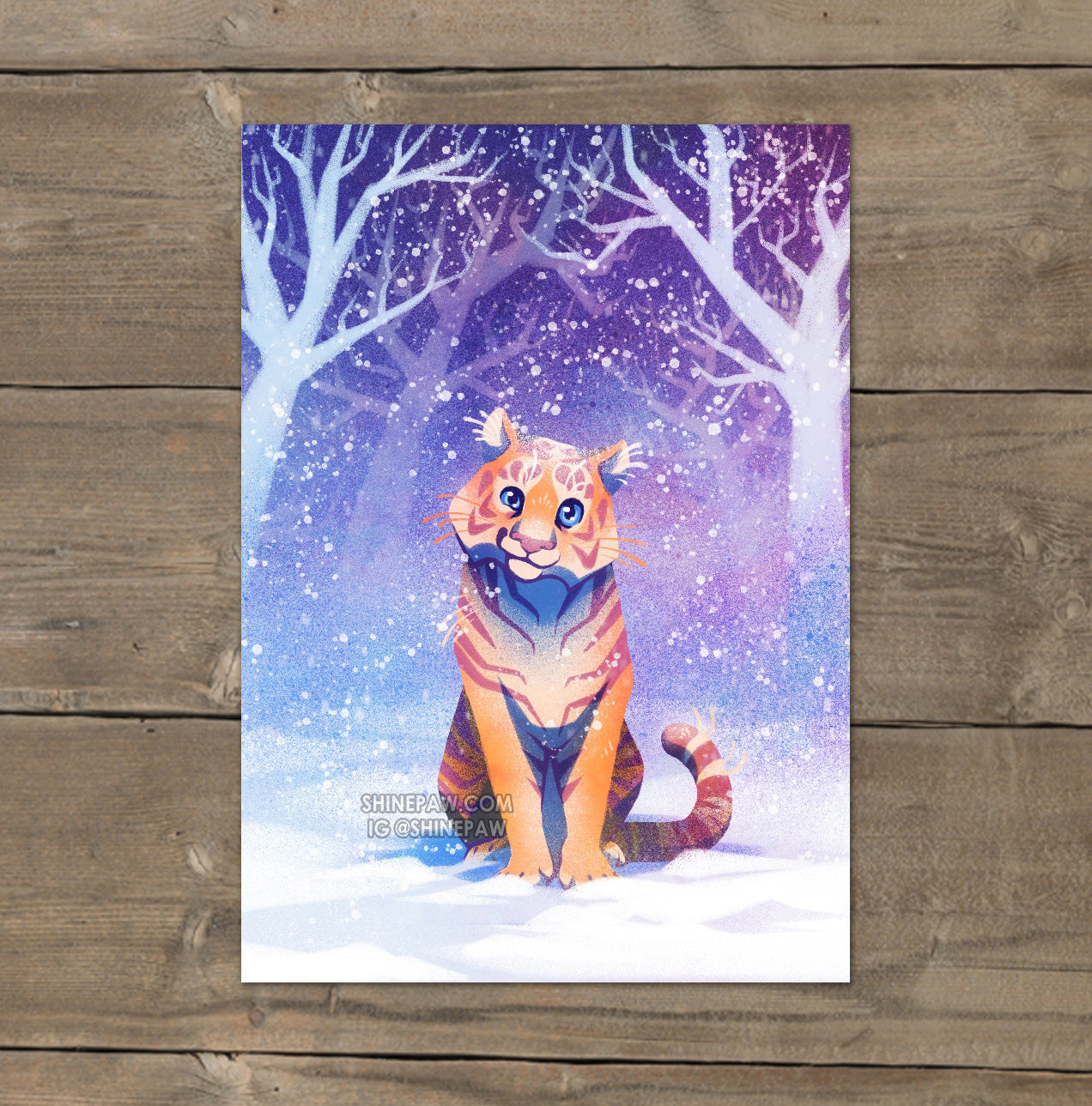 Tiger in Snow - Art Print