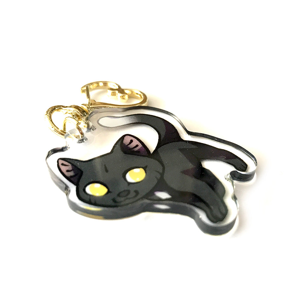 Ravenpaw Warrior Cats Keyring Charm – Shinepaw Design