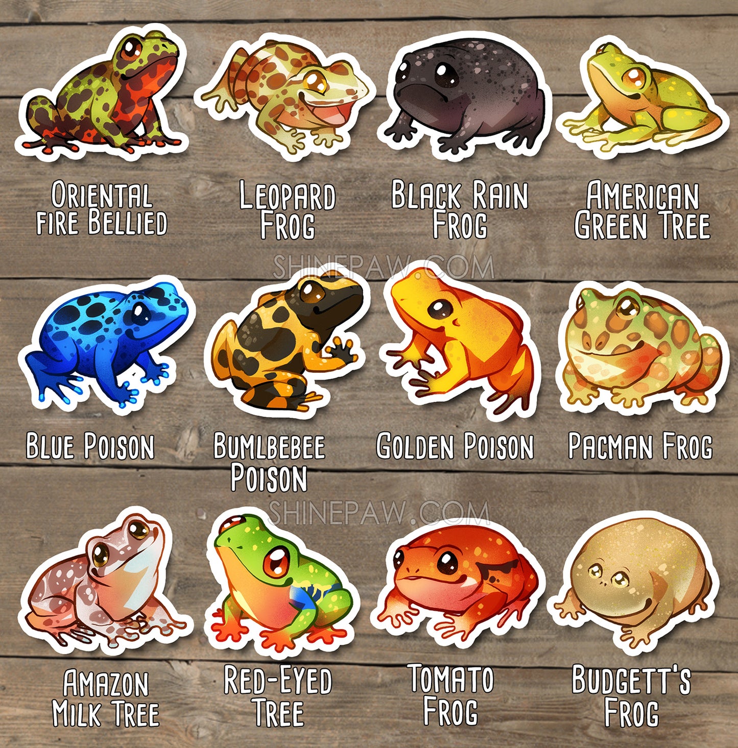 Cute Frog Sticker Set