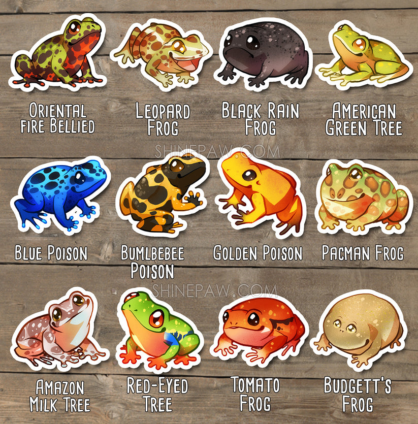 Cute Frog Sticker Set – Shinepaw Design