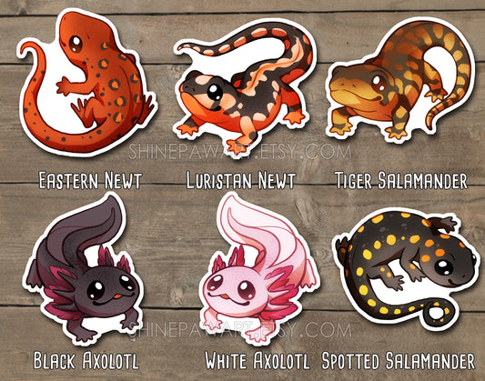 Cute Amphibian Sticker Set
