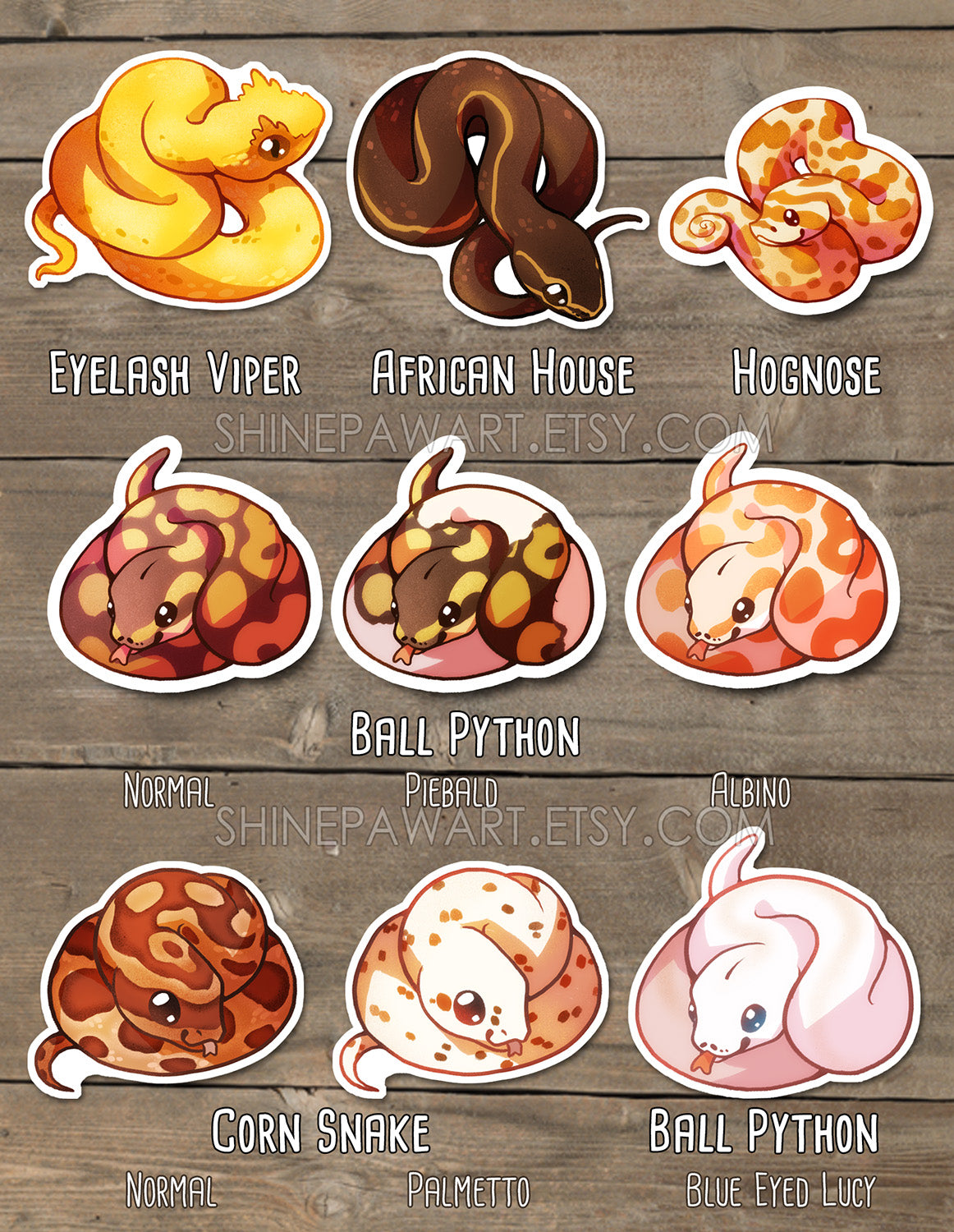Cute Snake Sticker Set – Shinepaw Design